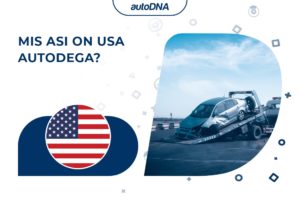 Mis asi on USA autodega