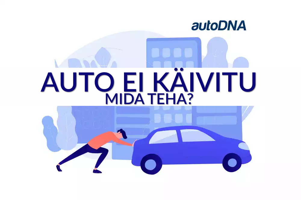 auto-ei