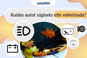 Kuidas-autot-sugiseks-ette-valmistada